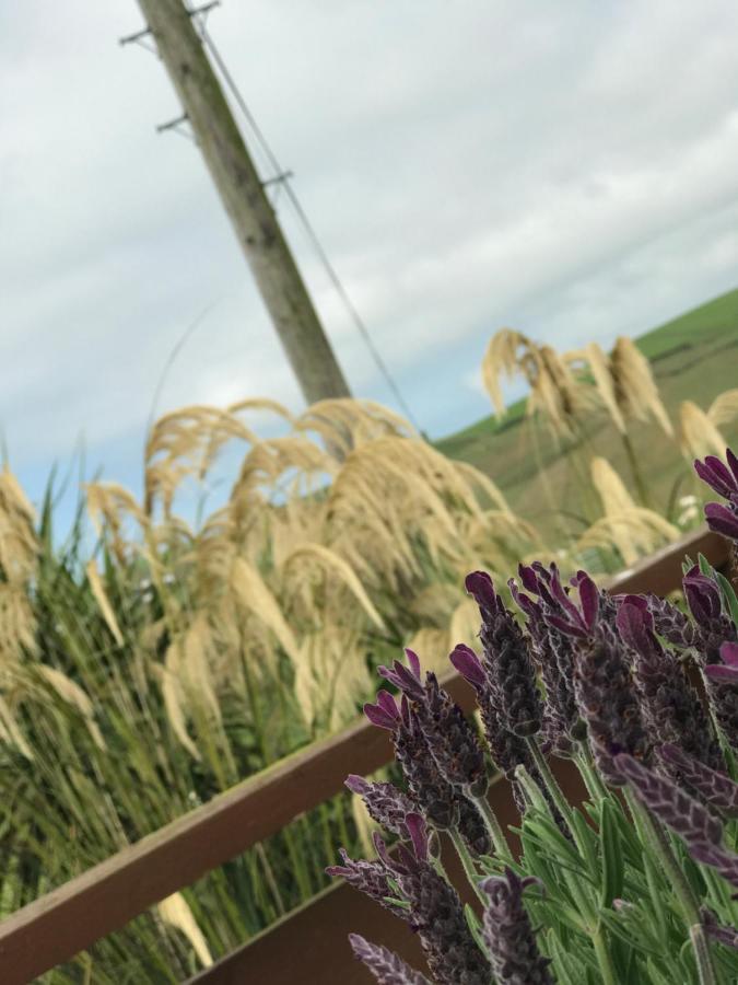 Lodge Cabin With Fabulous Views - Farm Holiday Stranraer Exteriör bild